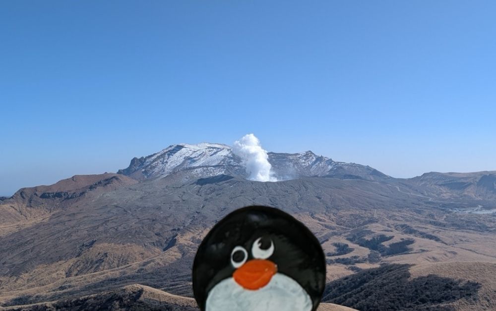 Hand-painted penguin stone #644 hidden at Mt. Kishima, Aso, Japan (photo 1 of 5)