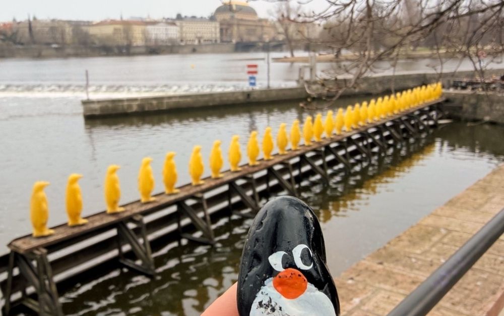 Hand-painted penguin stone #801 hidden at Yellow Penguins, Prague, Czechia (photo 1 of 5)