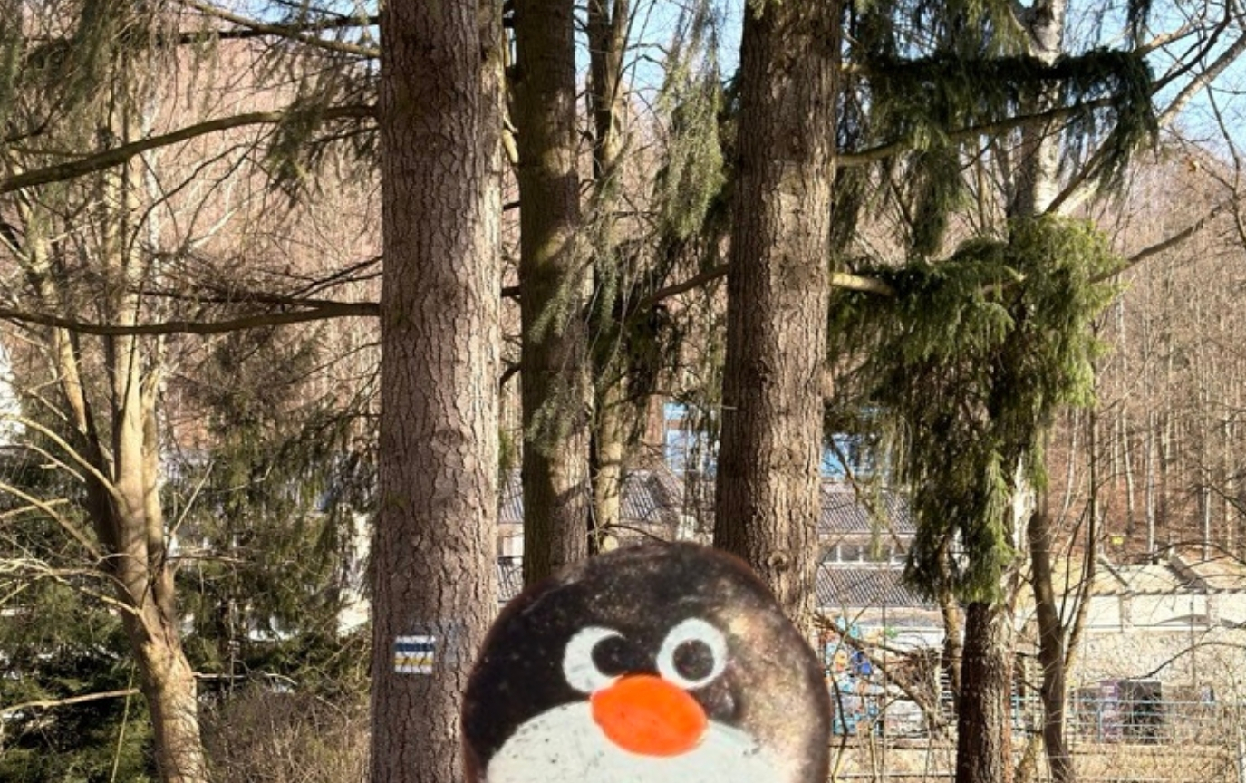 Hand-painted penguin stone #804 hidden at Tree trunk in a small park, Krynica, Poland (photo 1 of 5)