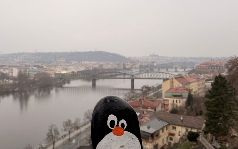 Hand-painted penguin stone #843 hidden at Hledisko Vysehrad, Prague, Czechia (photo 1 of 5)