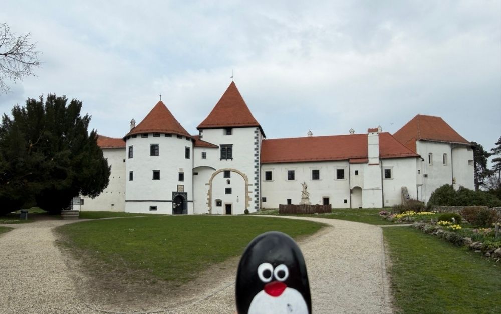 Hand-painted penguin stone #920 hidden at Stari Grad, Varazdin, Croatia (photo 1 of 5)