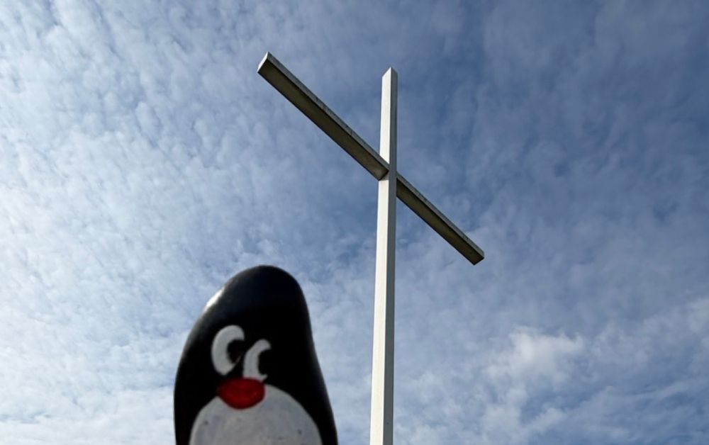 Hand-painted penguin stone #945 hidden at The Cross, Zagreb, Croatia (photo 1 of 5)