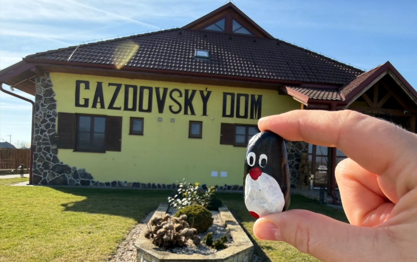 Hand-painted penguin stone #949 hidden at Gazdovsky dvor, Velke Raskovce, Slovakia (photo 1 of 5)