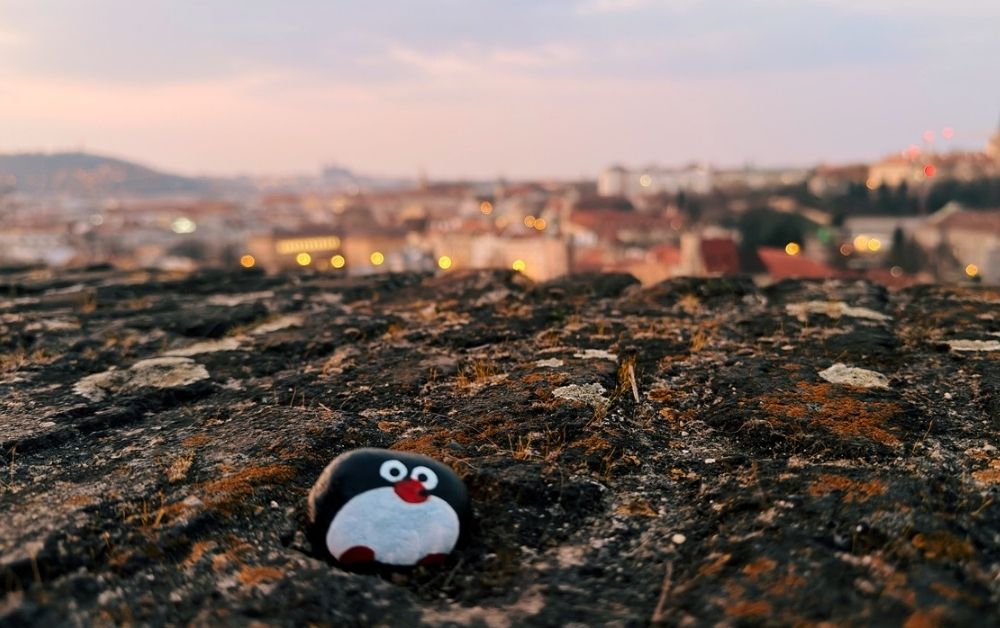 Hand-painted penguin stone #991 hidden at Vysehrad Viewpoint, Prague, Czechia (photo 1 of 5)