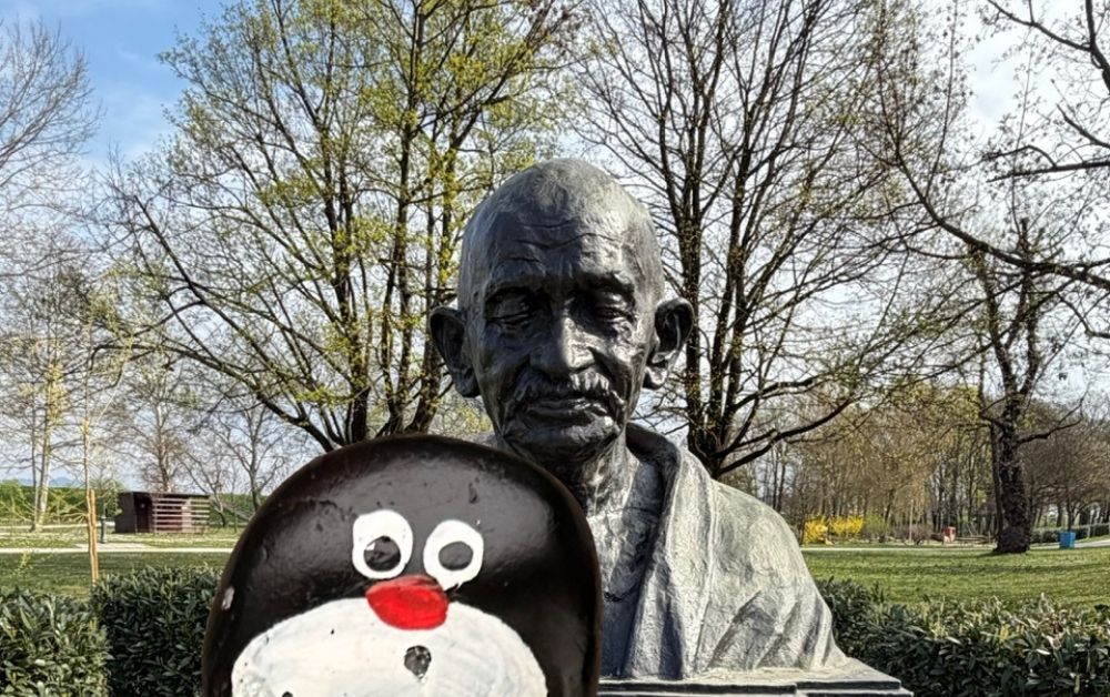 Hand-painted penguin stone #998 hidden at Mahatma Gandhi, Zagreb, Croatia (photo 1 of 5)