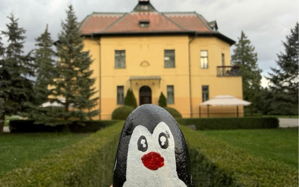 Hand-painted penguin stone #1002 hidden at Deer Statue, Topolcianky, Slovakia (photo 1 of 4)