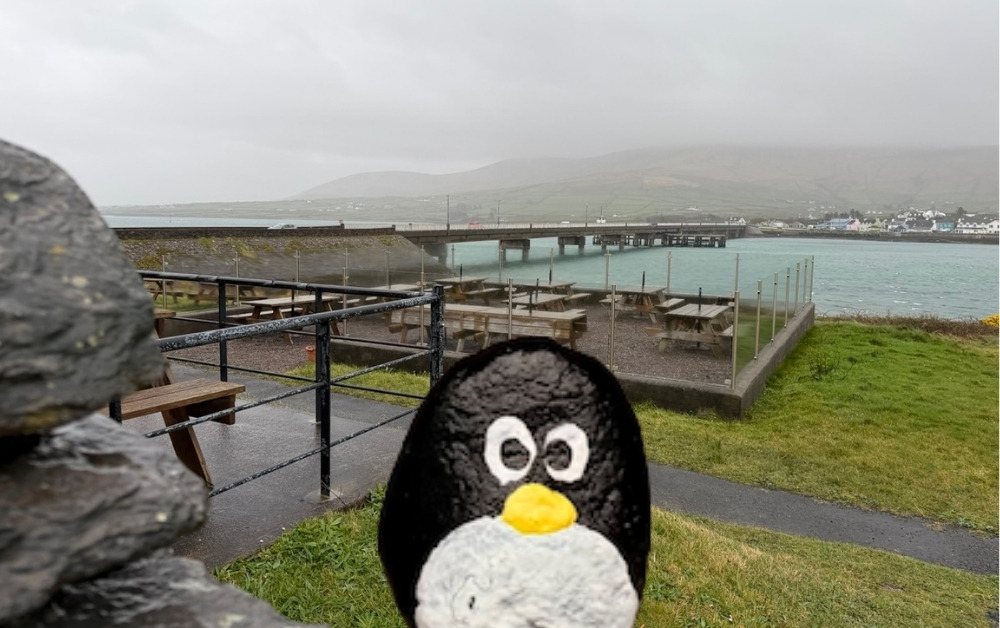 Hand-painted penguin stone #1012 hidden at The Skellig Experience Visitor Centre, Valentia, Ireland (photo 1 of 5)