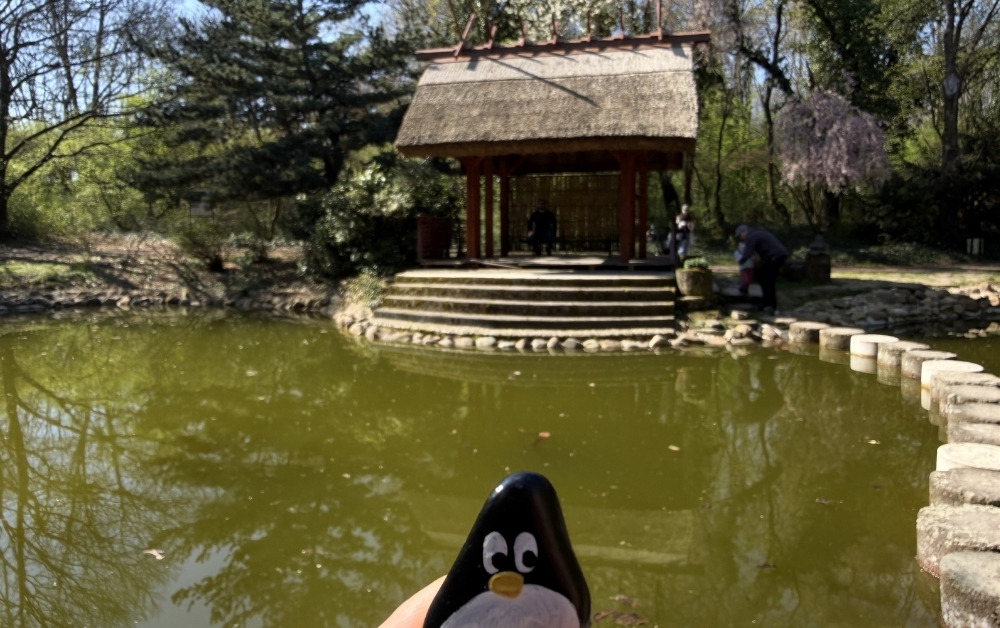 Hand-painted penguin stone #1015 hidden at Flower Corridor, Arboretum Mlynany SAV, Slovakia (photo 1 of 5)