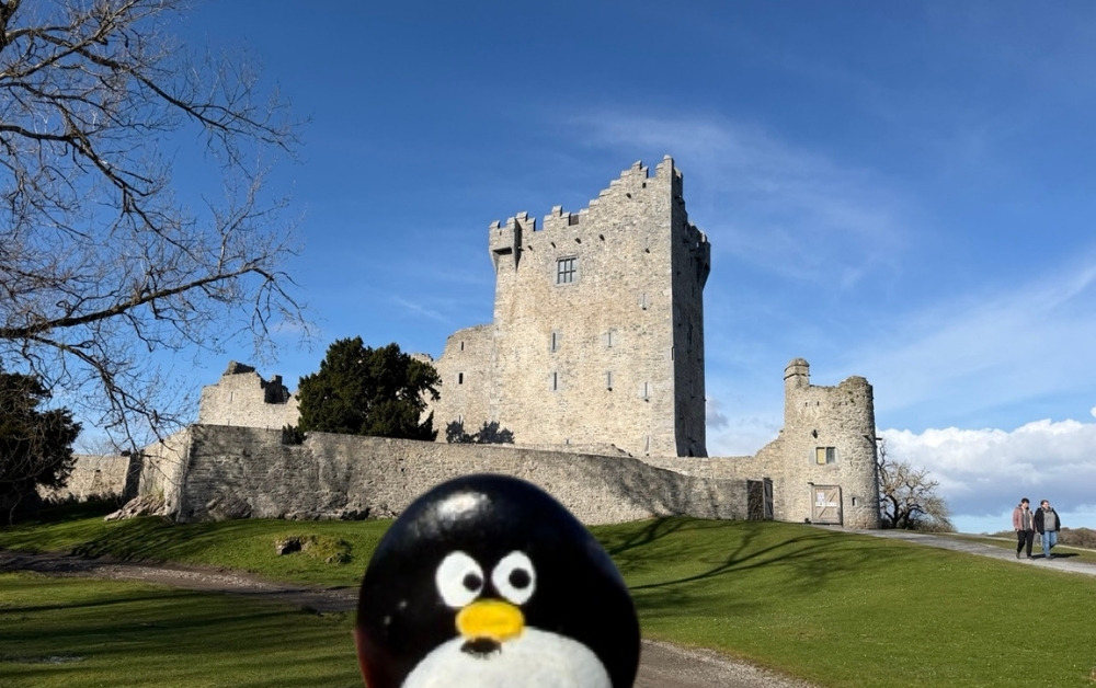 Hand-painted penguin stone #1016 hidden at Ross Castle, Killarney, Ireland (photo 1 of 5)