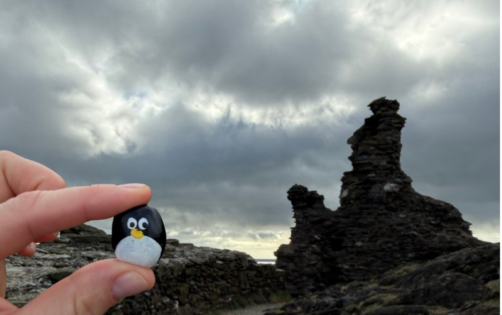 Hand-painted penguin stone #1019 hidden at Black Castle, Wicklow, Ireland (photo 1 of 5)