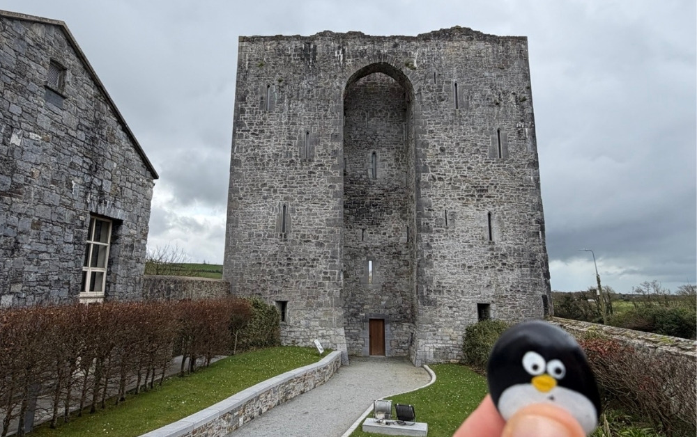Hand-painted penguin stone #1029 hidden at Listowel Castle, Listowel, Ireland (photo 1 of 5)