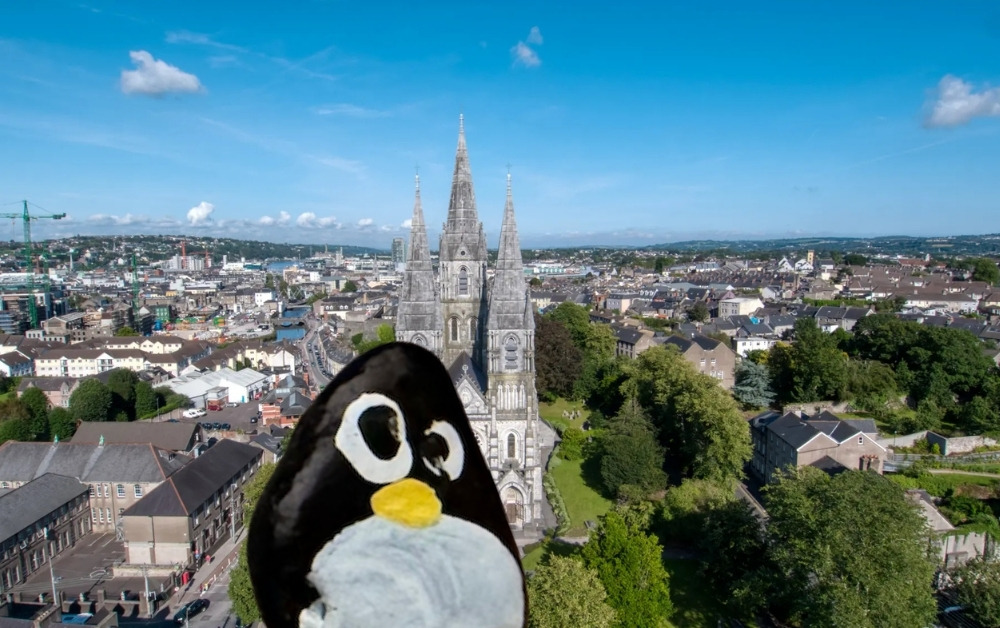 Hand-painted penguin stone #1032 hidden at Saint Fin Barre's Cathedral, Cork, Ireland (photo 1 of 5)