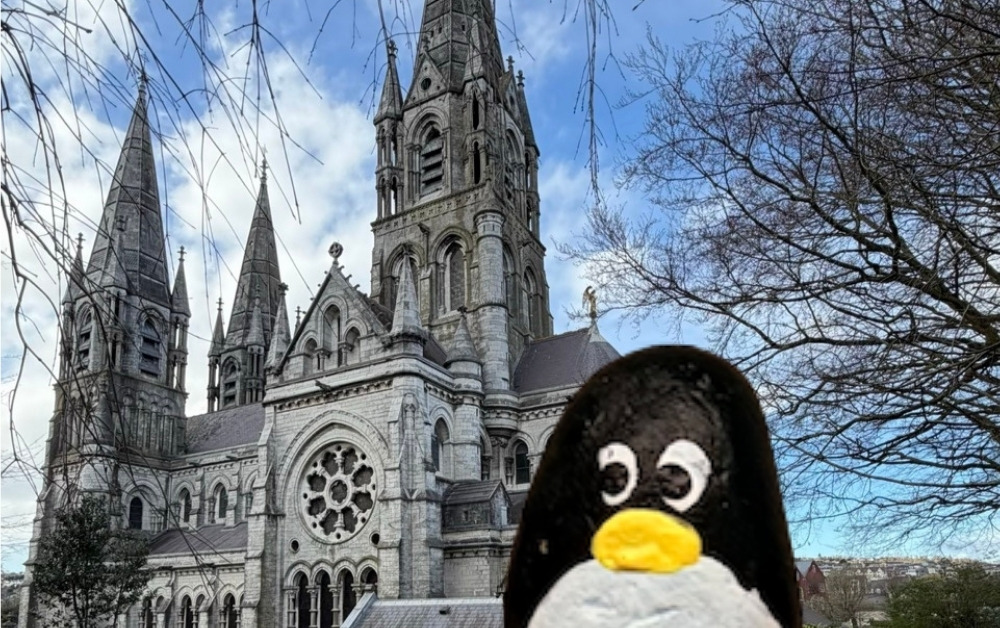 Hand-painted penguin stone #1035 hidden at Saint Fin Barre's Cathedral, Cork, Ireland (photo 1 of 5)