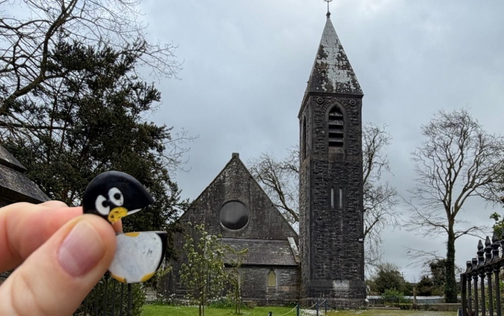 Hand-painted penguin stone #1036 hidden at St. Paul's Church & Graveyard, Glin, Ireland (photo 1 of 5)