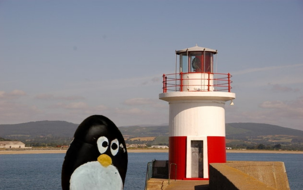 Hand-painted penguin stone #1040 hidden at East Pier Head Light, Wicklow, Ireland (photo 1 of 5)