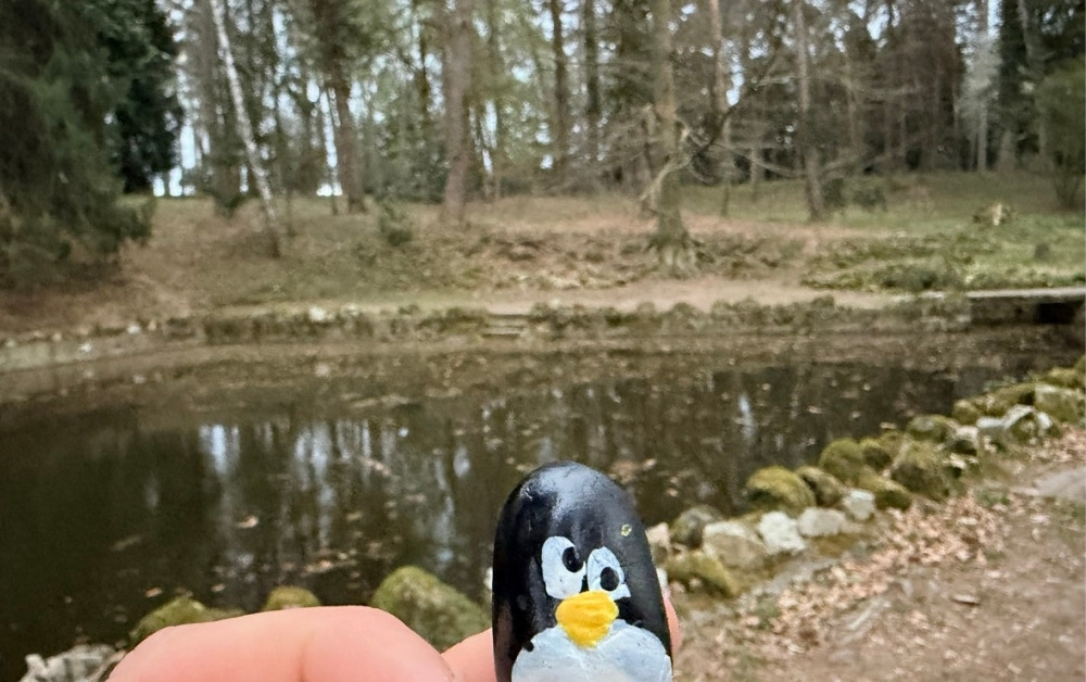 Hand-painted penguin stone #1042 hidden at Tree at Park in Topolcianky, Topolcianky, Slovakia (photo 1 of 5)