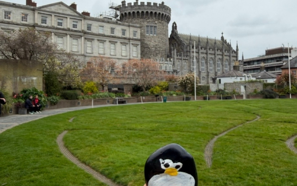 Hand-painted penguin stone #1051 hidden at Dubh Linn Garden, Dublin, Ireland (photo 1 of 5)