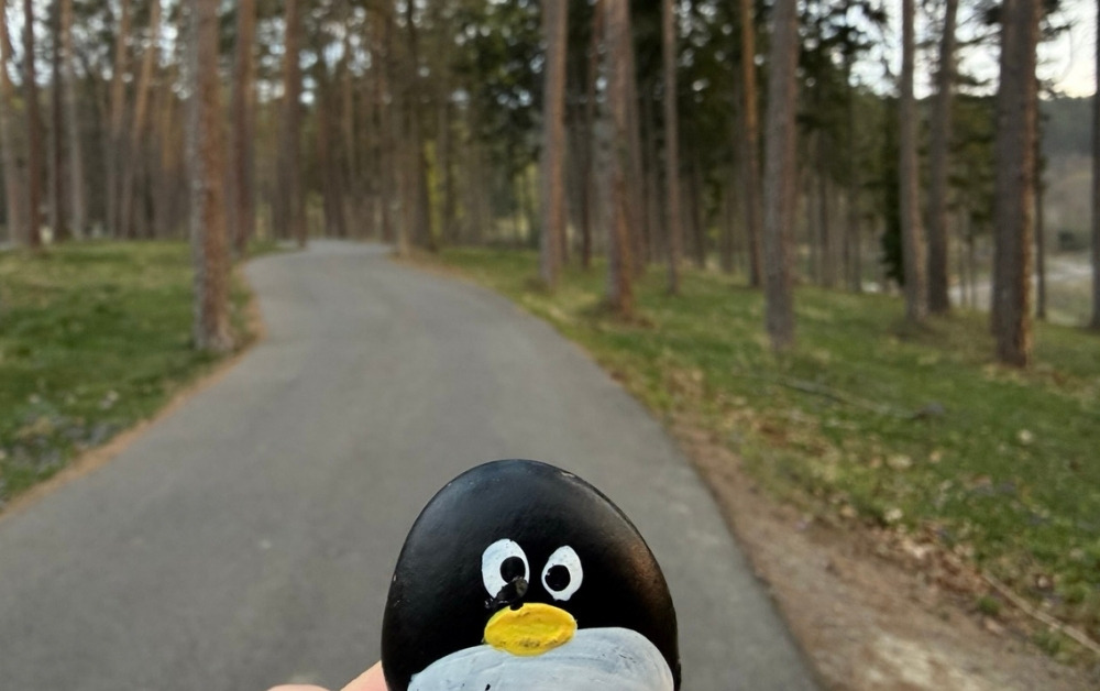 Hand-painted penguin stone #1052 hidden at Tree above Bojnice, Bojnice, Slovakia (photo 1 of 5)