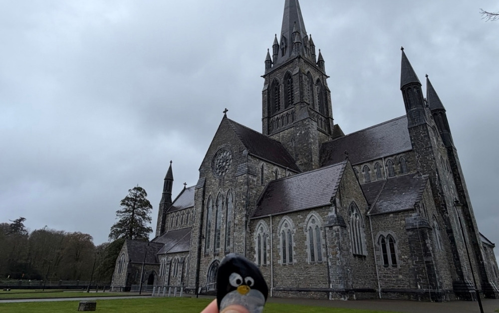 Hand-painted penguin stone #1054 hidden at St. Mary's Cathedral, Killarney, Ireland (photo 1 of 5)