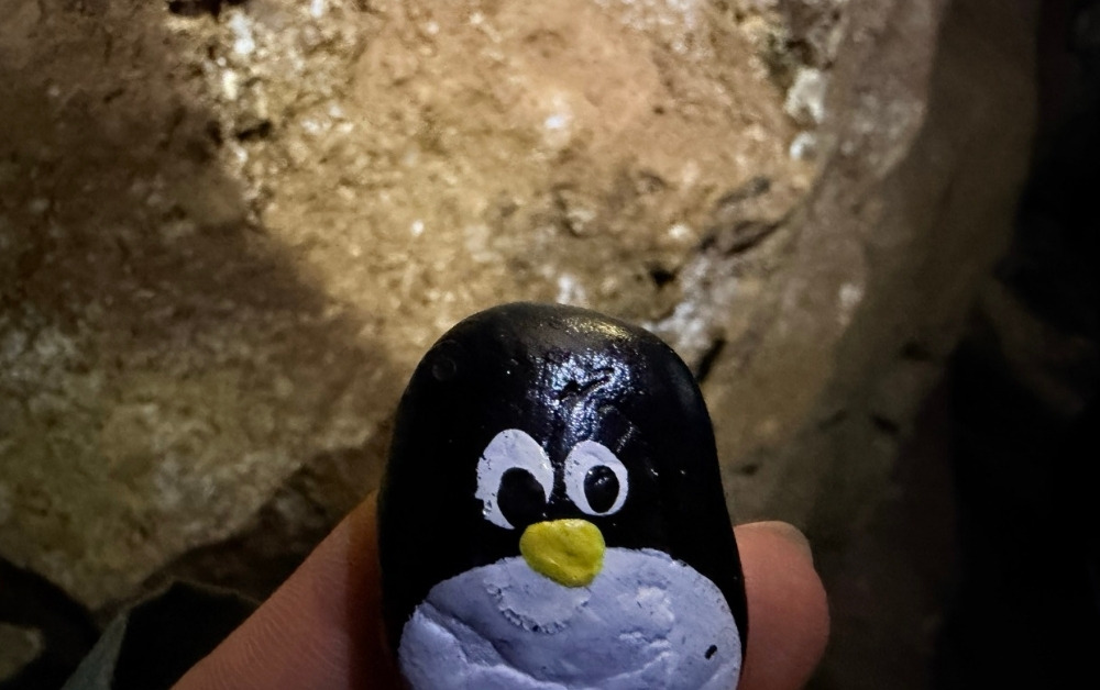 Hand-painted penguin stone #1060 hidden at Andrej Stolna, Kremnica, Slovakia (photo 1 of 5)
