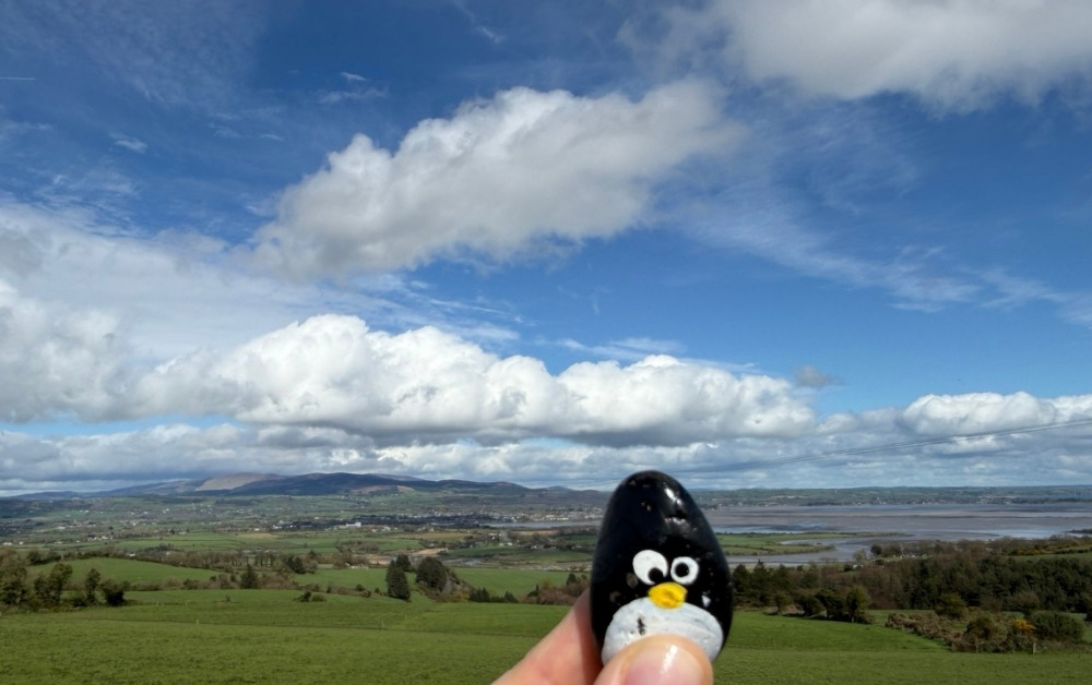 Hand-painted penguin stone #1067 hidden at Stone Wall, Close to Ballinalira, Ireland (photo 1 of 4)