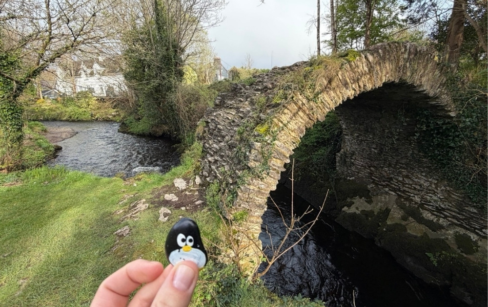Hand-painted penguin stone #1070 hidden at Cromwell's Bridge, Kenmare, Ireland (photo 1 of 5)