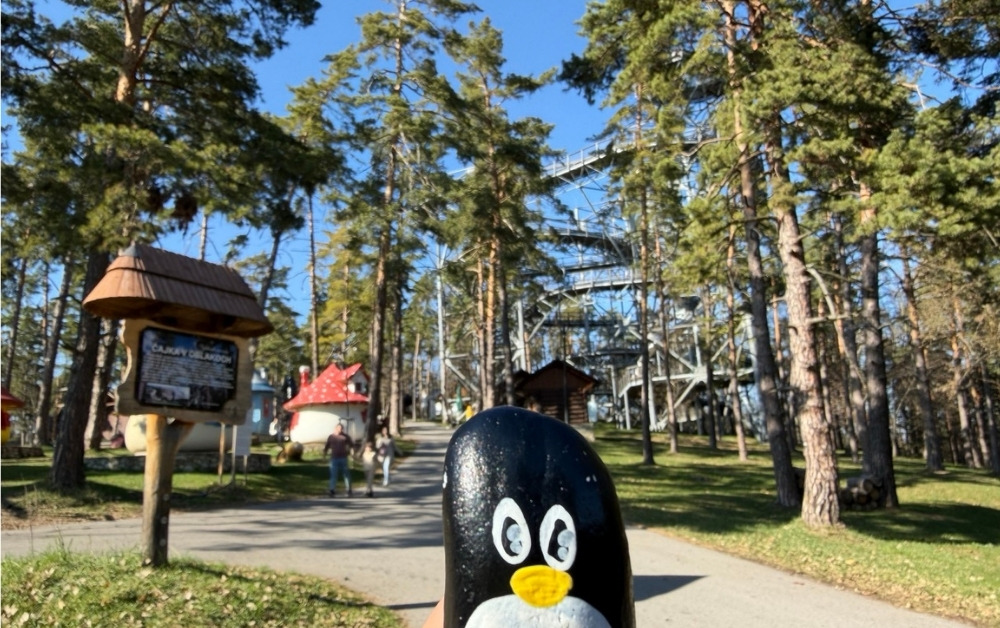 Hand-painted penguin stone #1076 hidden at Tree close to Cajka Viewpoint, Bojnice, Slovakia (photo 1 of 5)