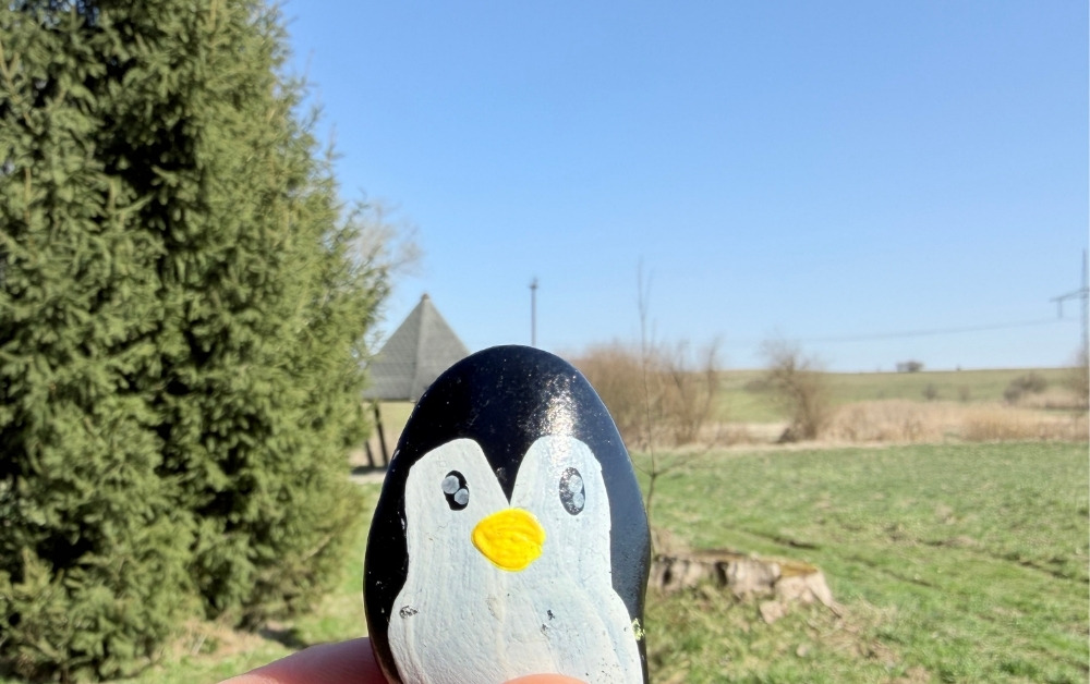 Hand-painted penguin stone #1080 hidden at Pramen Budiska, Budis, Slovakia (photo 1 of 5)