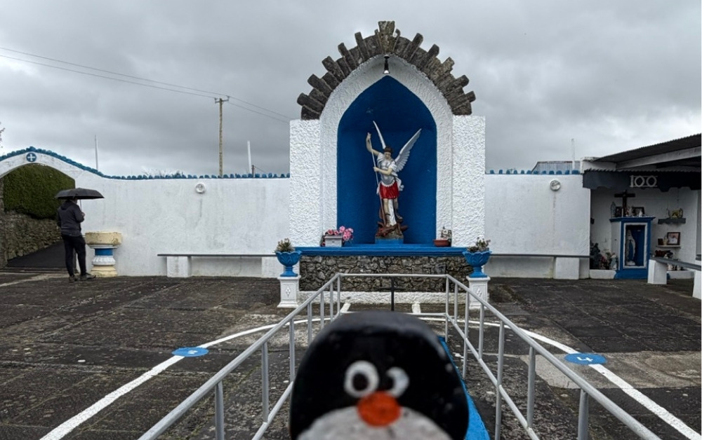 Hand-painted penguin stone #1103 hidden at St. Michaels Well, Lixnaw, Ireland (photo 1 of 5)