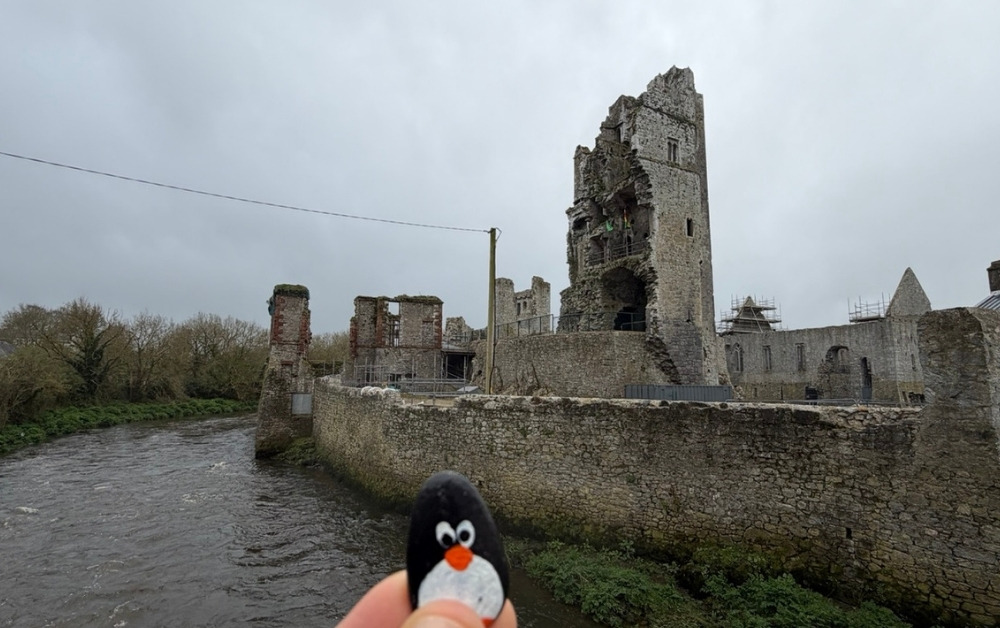 Hand-painted penguin stone #1127 hidden at Askeaton Castle, Askeaton, Ireland (photo 1 of 5)