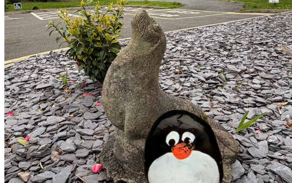 Hand-painted penguin stone #1134 hidden at Church of the Immaculate Conception, Valentia, Ireland (photo 1 of 5)