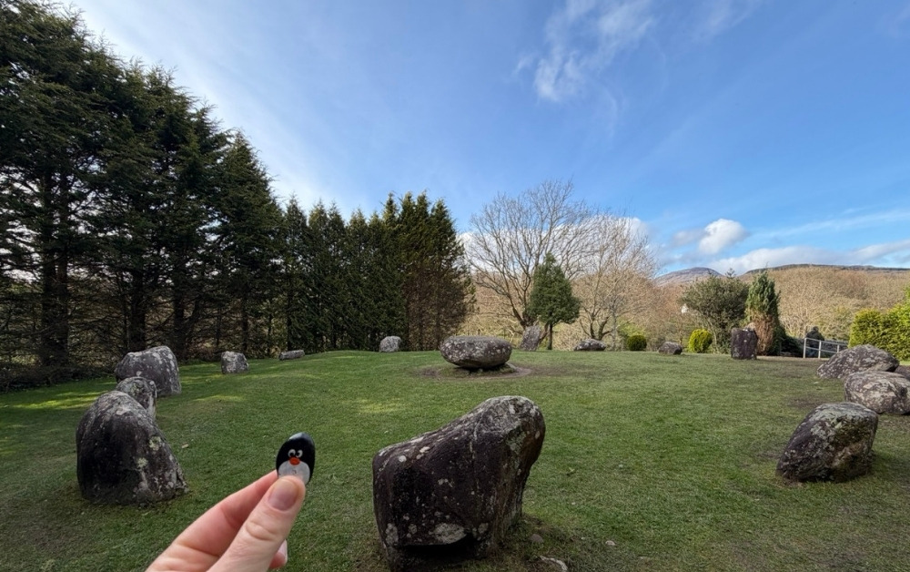 Hand-painted penguin stone #1176 hidden at Kenmare Stone Circle, Kenmare, Ireland (photo 1 of 5)