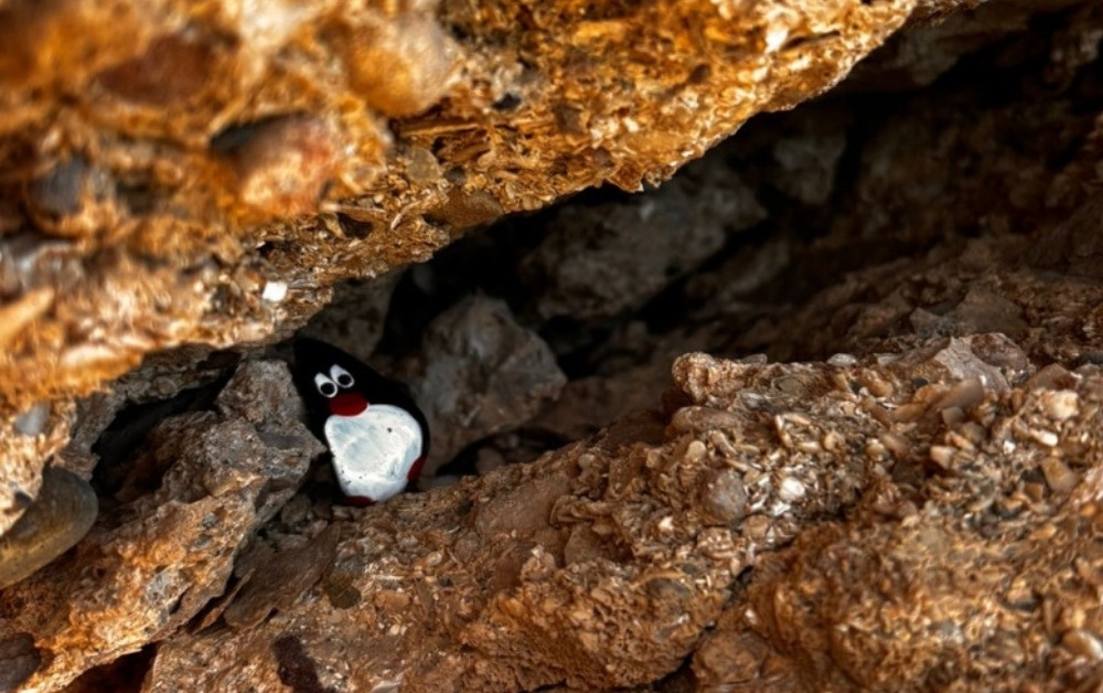 Hand-painted penguin stone #1200 hidden at Cliffs close to SurfHub Imsouane Surf School, Imsouane, Morocco (photo 1 of 5)