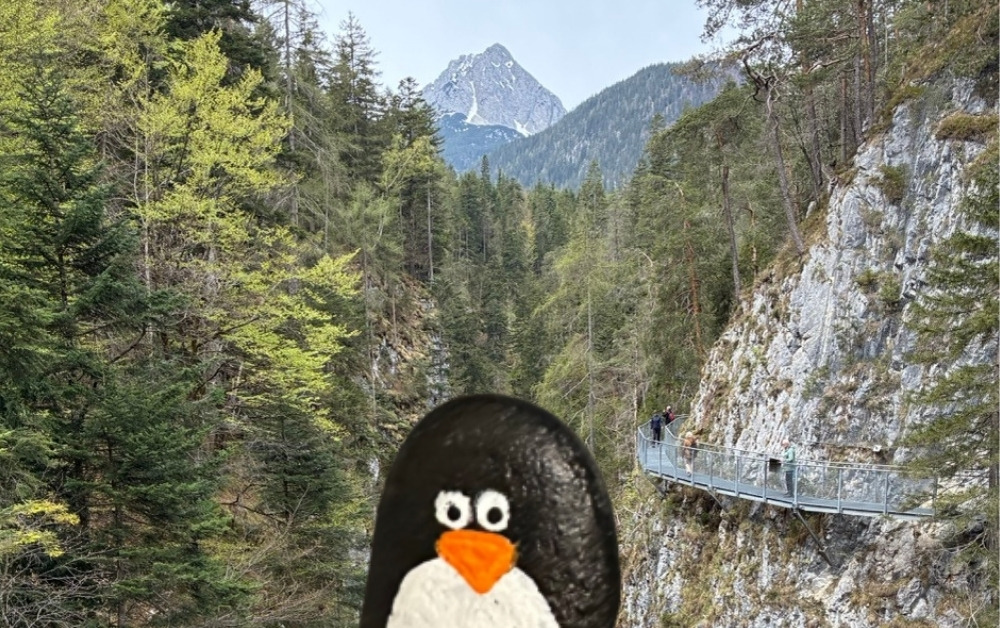 Hand-painted penguin stone #231 hidden at Hollbrucke, Leutasch, Austria (photo 1 of 5)