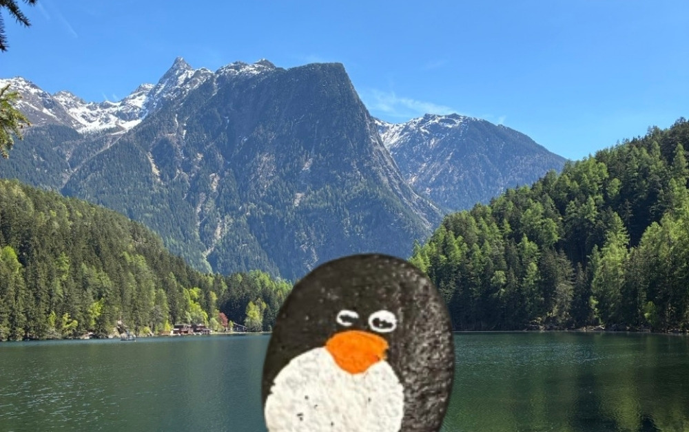 Hand-painted penguin stone #269 hidden at Piburger See, Oetz, Austria (photo 1 of 5)