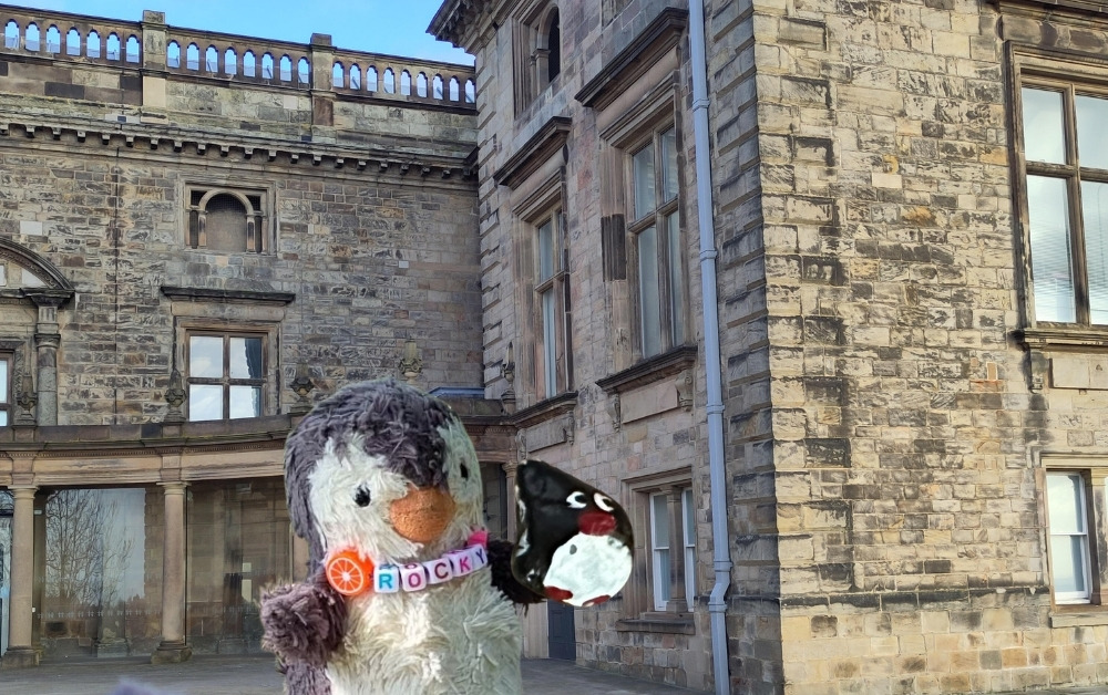 Hand-painted penguin stone #419 hidden at Nottingham Castle, Nottingham, United Kingdom (photo 1 of 4)