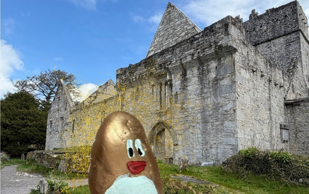 Hand-painted penguin stone #516 hidden at Muckross Abbey, Muckross, Ireland (photo 1 of 5)