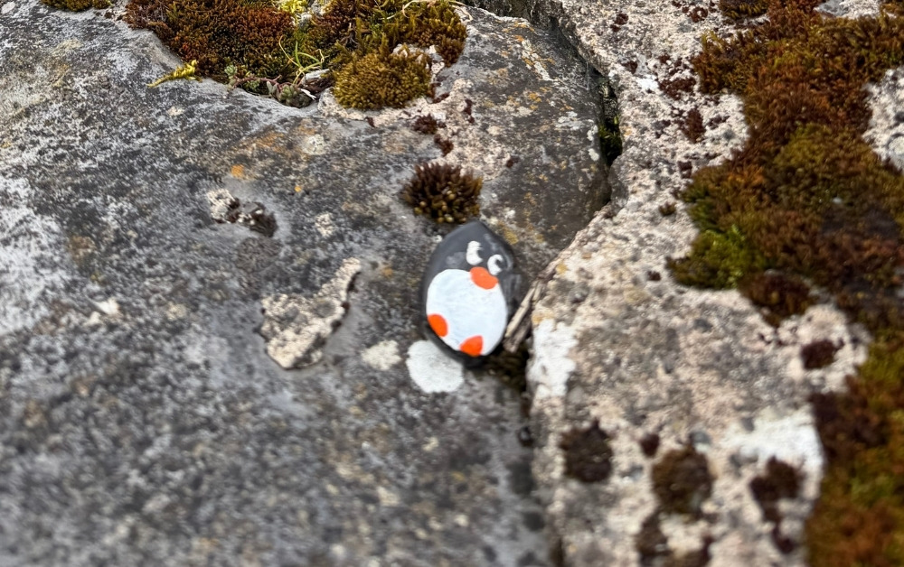 Hand-painted penguin stone #630 hidden at Riverside Soundwalk (O'Briens Bridge), Galway, Ireland (photo 1 of 5)