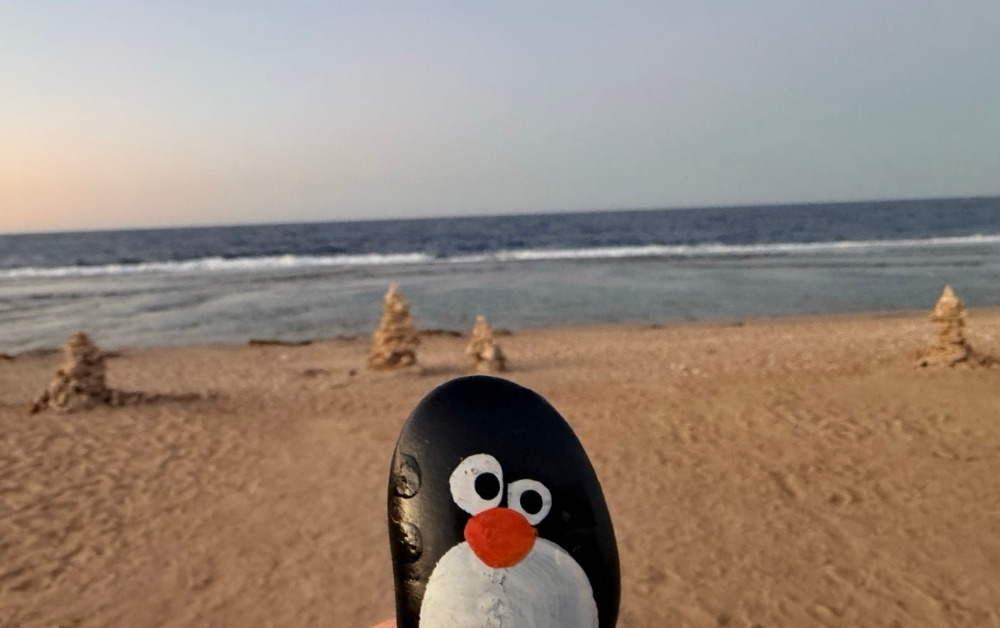 Hand-painted penguin stone #828 hidden at Stone Tower, Marsa Allam, Egypt (photo 1 of 5)
