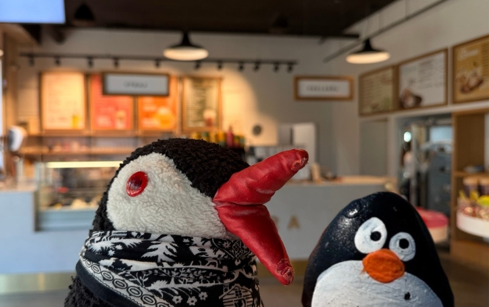 Hand-painted penguin stone #863 hidden at LYRA Chocolate, Ivanka pri Nitre, Slovakia (photo 1 of 5)