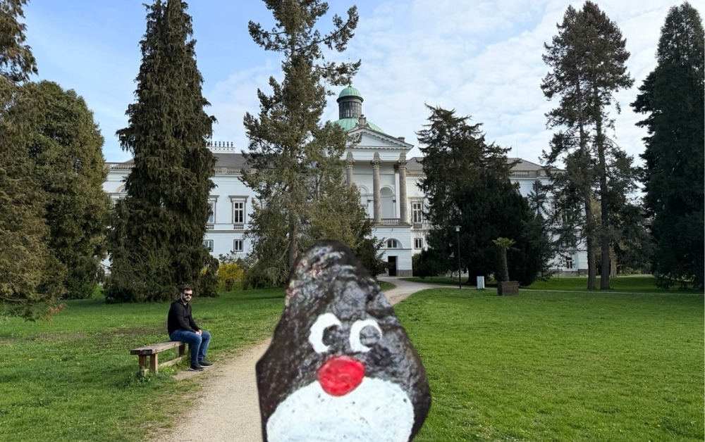 Hand-painted penguin stone #870 hidden at Quercus robur "Fastigiata", Chateu Topolcianky, Slovakia (photo 1 of 5)