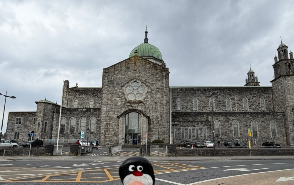 Hand-painted penguin stone #876 hidden at Galway Cathedral, Galway, Ireland (photo 1 of 4)