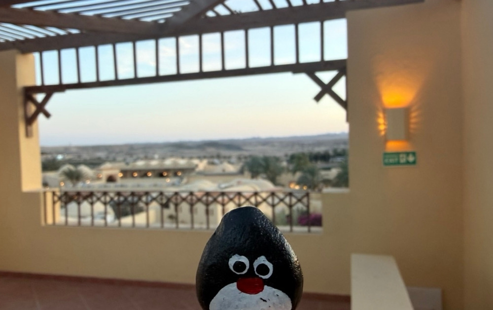 Hand-painted penguin stone #879 hidden at The Tower at Steigenberger Coraya Beach, Marsa Alam, Egypt (photo 1 of 5)