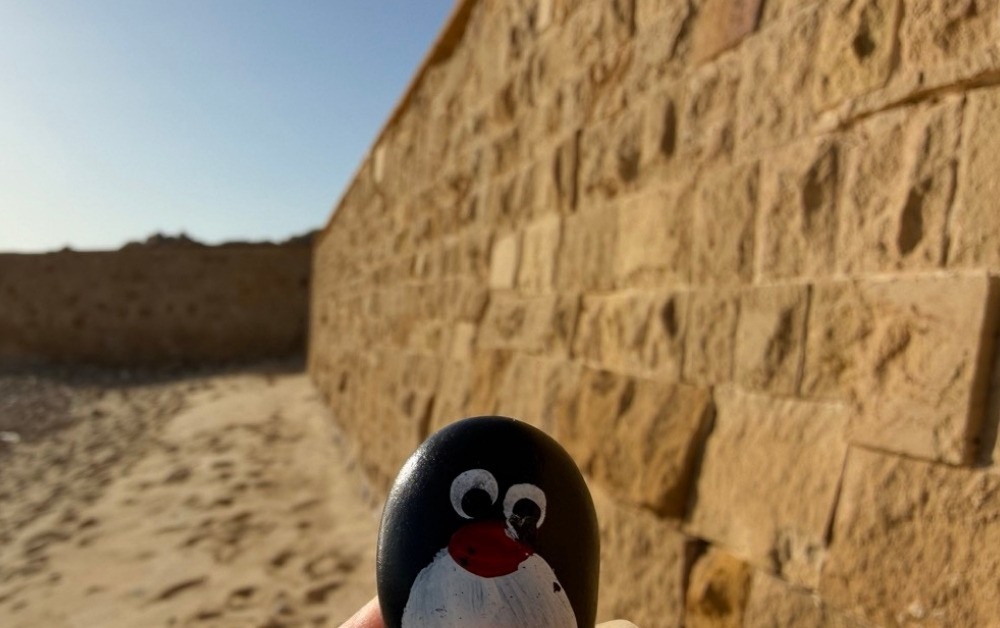 Hand-painted penguin stone #884 hidden at Stone Wall, Marsa Alam, Egypt (photo 1 of 5)
