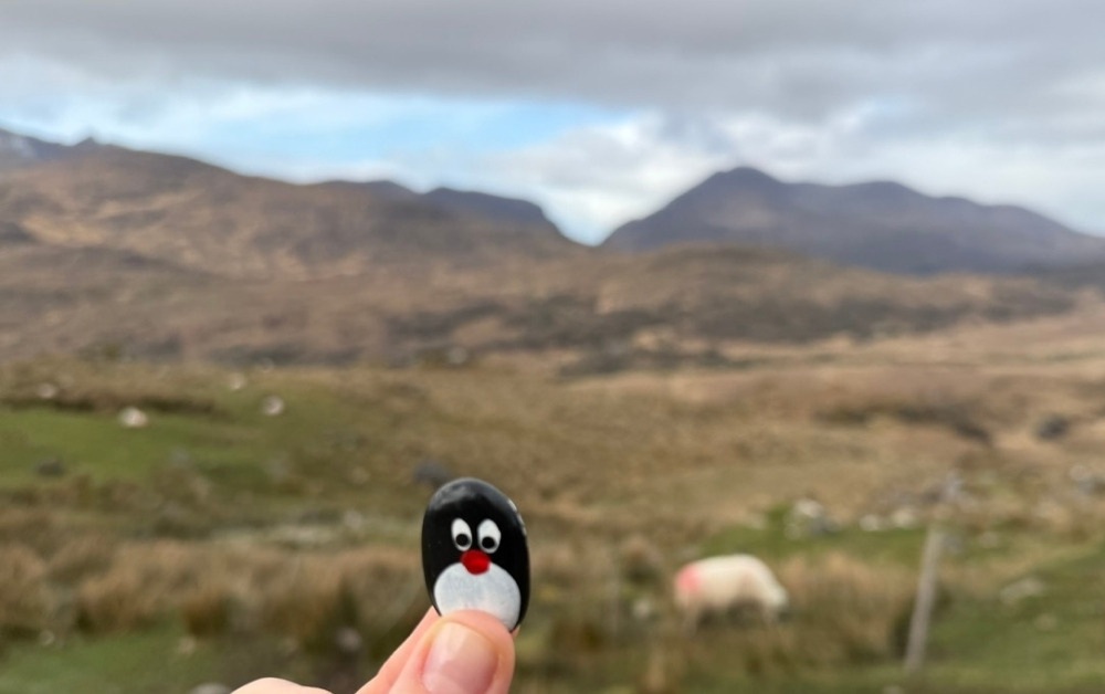 Hand-painted penguin stone #964 hidden at Moll's Gap, Ring of Kerry, Ireland (photo 1 of 5)