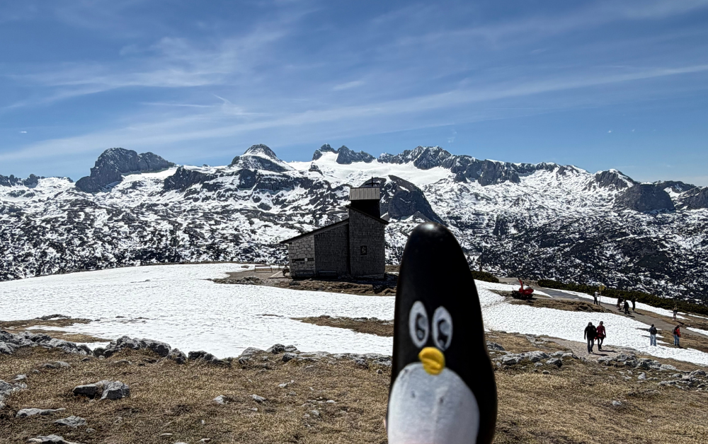 Hand-painted penguin stone #1005 hidden at World Heritage Spiral, Obertraun am Hallstattersee, Austria (photo 1 of 5)