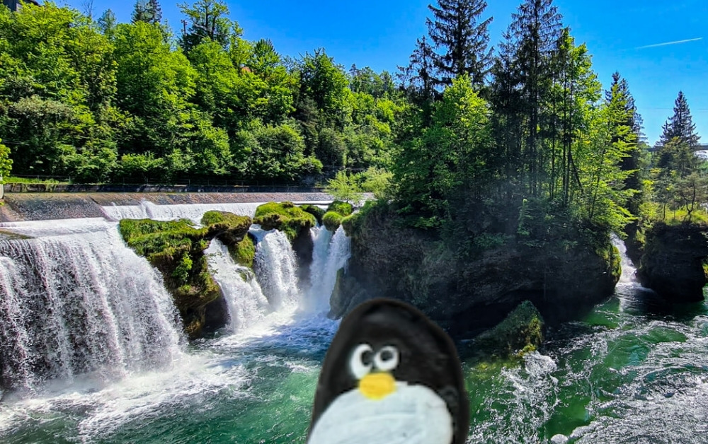 Hand-painted penguin stone #1027 hidden at Traunfall Waterfalls, Roitham, Austria (photo 1 of 5)