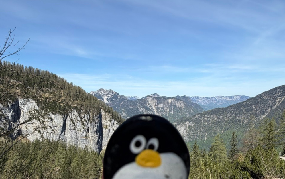 Hand-painted penguin stone #1030 hidden at Dachstein Giant Ice Cave, Obertraun, Austria (photo 1 of 5)