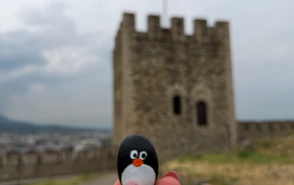 Hand-painted penguin stone #1091 hidden at Tower at Skopje Fortress, Skopje, North Macedonia (photo 1 of 4)