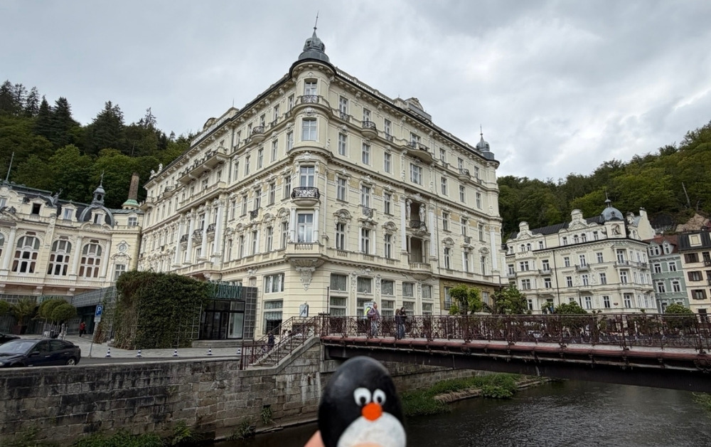 Hand-painted penguin stone #1094 hidden at Lavicka Vaclava Havla, Karlove Vary, Czechia (photo 1 of 5)